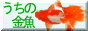 【うちの金魚】 